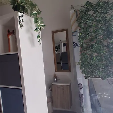 Casinha Do Repouso Hébergement de vacances São Bartolomeu de Messines